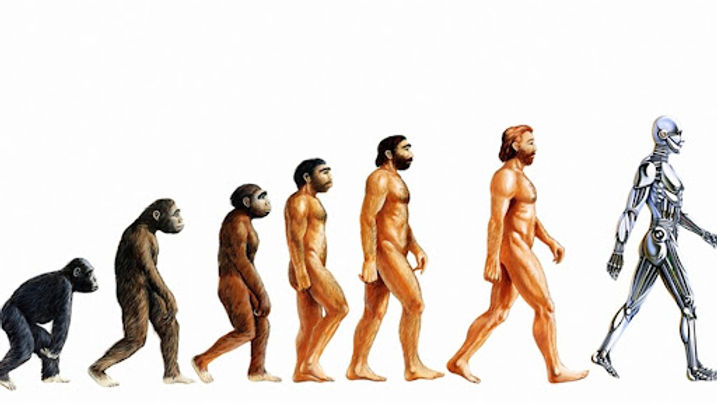 L’evoluzione dell’uomo e perché fare sport è la medicina più potenteche abbiamo a disposizione!