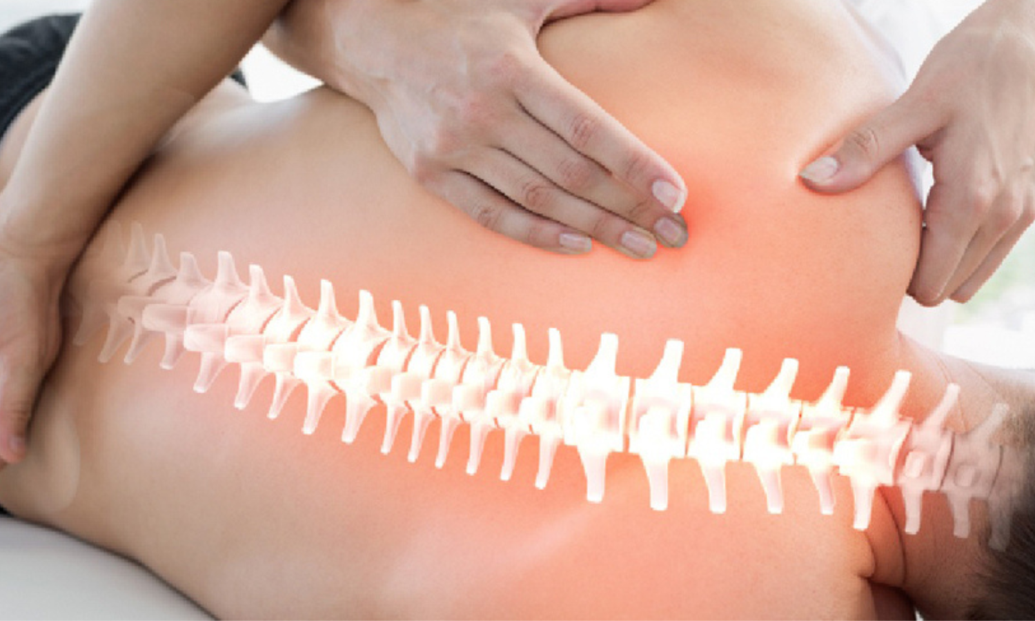 osteopatia-colonna vertebrale